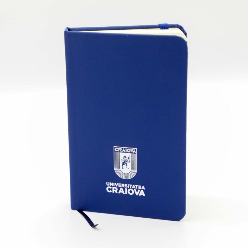 Agenda A6 Universitatea Craiova