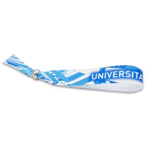 Bratara Universitatea Craiova